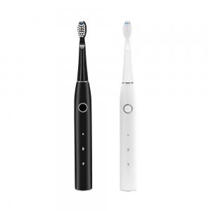 Quality POM 1600times/M Electric Sonic Toothbrush For Sensitive Teeth Reusable for sale