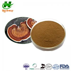 China Organic Reishi Mushroom Extract Powder Ganoderma Lucidum Powder 10%-50% Polysaccharides Powder on sale