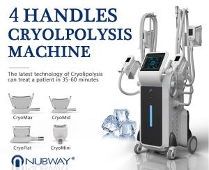 Quality 2019 NUBWAY 4 handles cryolipolysis fat freeze tummy tuck slimming machine for weight loss body shaping for sale