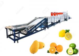 Quality Orange Washing Waxing Drying And Grading Machine Fruit Cleaning And Waxing Machine for sale