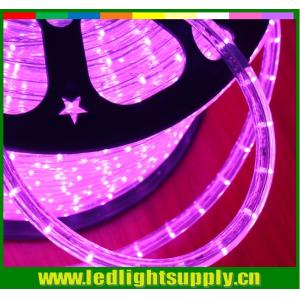 Quality ultra thin christmas decoration 2 wire pink 24v 12v led rope light for sale