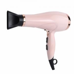 China OEM Electric Professional Salon Hair Dryer For Commercial Hotel Household on sale