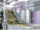 Buy cheap Mango Canned Fruit Jam Production Line With Secondary Steam Condensation from wholesalers