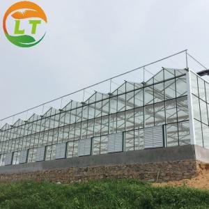 Quality Flower Vegetable Growing High Venlo Tempered Glass Greenhouse with Hydroponic System for sale