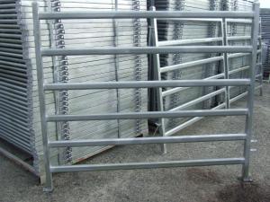 China Australia pre-galvanized 40*40mm/40*80mm Cattle Panels For Sale (china manufacturer) on sale