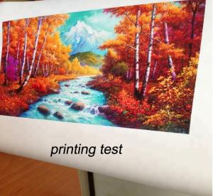 Quality Printable glossy oil/polyester/cotton waterproof canvas for solvent,eco-solvent,pigment,dye,compatibility printing machi for sale