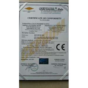 Changzhou Skyerscale Co.,Limited Certifications