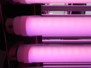 Quality Milky Cover Pink 900mm T8 LED Fluorescent Tube 24W For Supermarket for sale