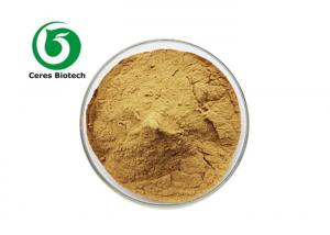 Quality Organic Equisetum Arvense Horsetail Stem Extract Powder for sale