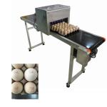 Egg Jet Coding Machine / Industrial Inkjet Coding Printer For Expiration Date