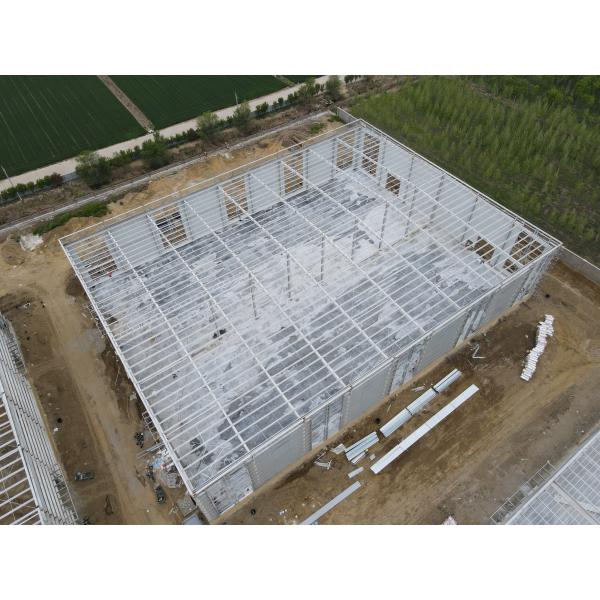 Pre Engineered Logistics Steel Warehouse Construction Custom Design