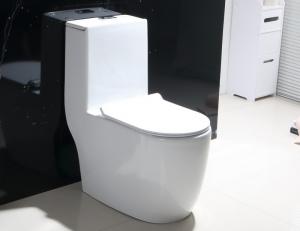 China Unique Modern Portable Single Piece Toilet Scratch Resistant on sale