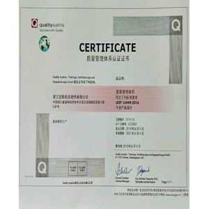 China BOSS excavator filter manufacturer Certifications