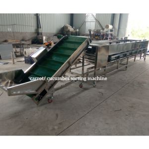 Cucumber Sorting Machine, Cucumber Grading Machine, Cucumber Grader sorter