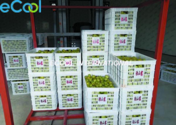 Buy Fresh Walnut Cold Storage, Customized Fruits And Vegetables Chiller with Online Control System at wholesale prices