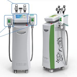 Quality Clinic Use Professional Fat Freezing Machines 2 Handles Work Together For Slimming for sale