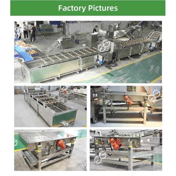 Automatic Vegetable Washer Fruit Washer Machine Vegetable Washing Line