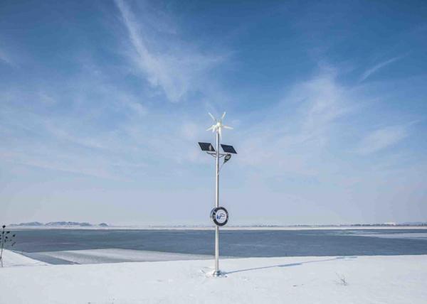 Buy 1500W 48V Horizontal Wind Turbine For Home Use Electricity With 5 Blade at wholesale prices