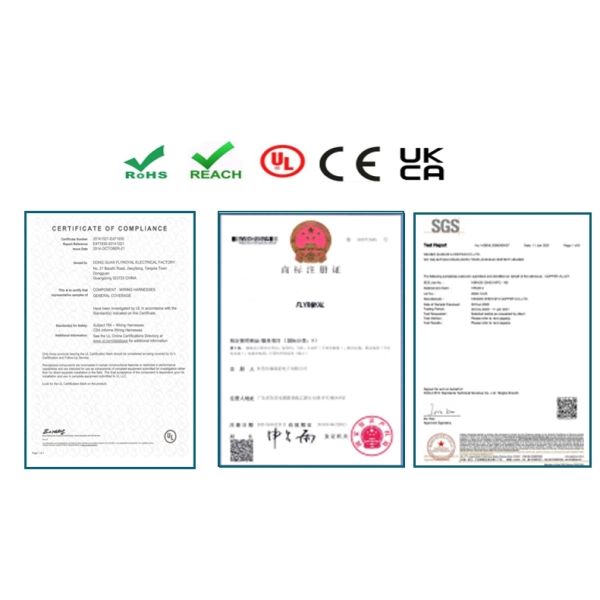 OEM Custom PVC Insulated Wire Harness Cable Assembly with Custom Length and 100% Testing Inspection