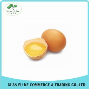 Quality High Quality Eggs Yolk Powder Eggs Yolk Lecithin for sale