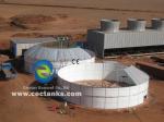 EPC USR/CSTR Biogas Anaerobic Fermentation Biogas Storage Tank Waste to Energy