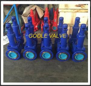 Quality DIN Spring Loaded Pressure Safety Valve, spring loded, WCB, thermal relief valve for sale