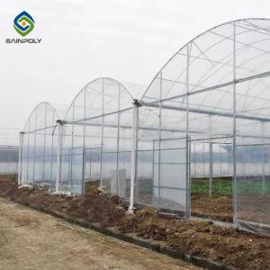 Quality Multi Span Arch Plastic Film Greenhouse Tomato Strawberry Greenhouse Turnkey Project for sale