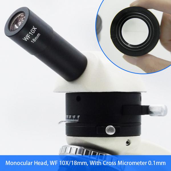 40x - 400x Laboratory Research Polarization Microscope Binocular Halogen Lamp A15.2604