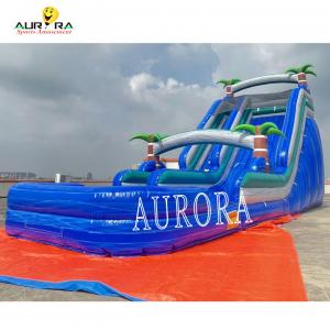 Quality Blue Dual Lane Inflatable Water Slide PVC Kids Backyard Inflatable Slide for sale