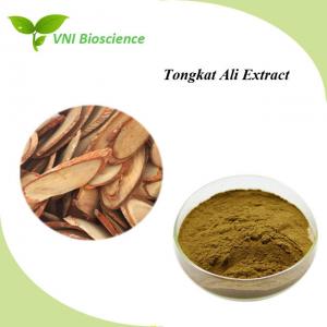 Natural Tongkat Ali Extract Brown Powder Eurycoma Longifolia Extract