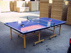 Quality Indoor Outdoor Table Tennis Table , Blue Folding Ping Pong Table For Competition for sale