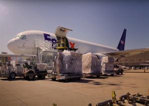 Quality FedEx Global Express Courier Service Door To Door for sale