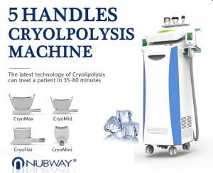 Quality 2014 Newly-launched!!! Cavitation Vacuum RF Cryo buy Cryolipolysis machine for sale