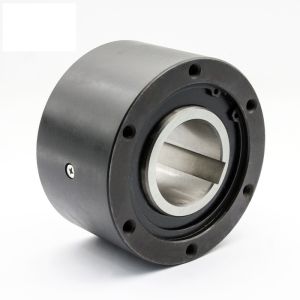 Buy cheap BS 135 Sprag Freewheels Backstop One Way Clutch Bearings Hold Back Clutch from wholesalers