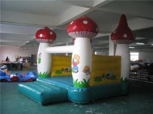 China 3 * 3m Inflatable Jumping Castle , Inflatable Water Bounce House Abrasion Resistance on sale