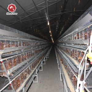Quality Electric A Type Layer Battery Chicken Cage New Design for sale