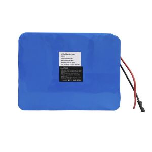 Buy cheap 48V 20AH 960Wh Ebike Lithium Battery Packs With BMS Protection from wholesalers