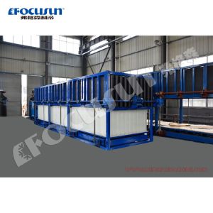 20 Tons Per Day Industrial Direct Cooling System Block Ice Maker for Ice Block