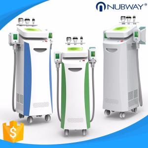 Quality 2019 Most Popular Smart Freezing Cryolipolysis Machine for Weight Loss/Plastic Surgery for sale