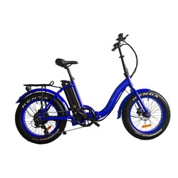 China Rear Hub Motor Folding 48V Aluminum Alloy Portable Ebikes on sale
