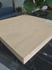 Quality Birch veneer plywood,face and back birch.poplar core.9mm,12mm,14mm,18mm,21mm,25mm,BIRCH PLYWOOD,POPLAR CORE, for sale