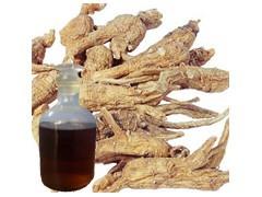 China Natural Angelica Root Oil/Angelica Root Essential Oil on sale