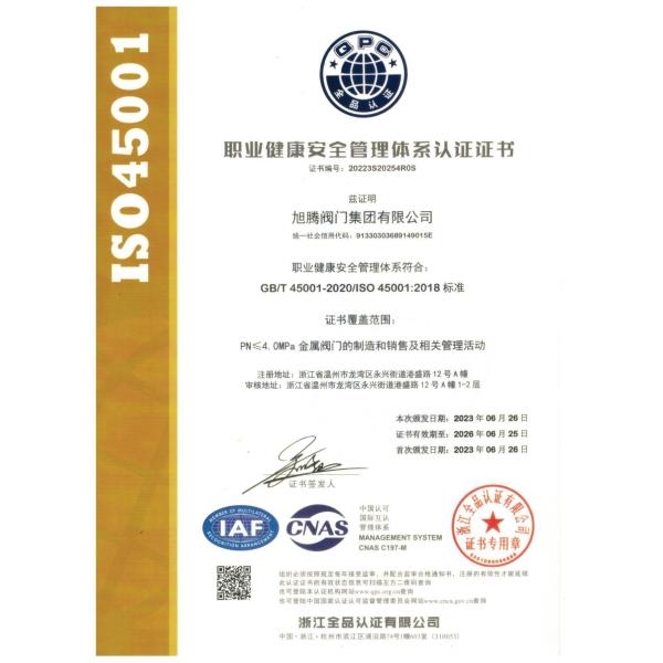 Xtv 1PC Ss Ball Valve Like Control Valve for Mainline Clog