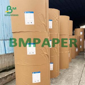 Quality 260g And 18g PE Coated Food Grade Paper Cup Stock For Making Cups for sale
