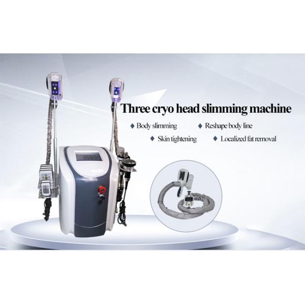 Slimming Body Fat Removal Criolipolisis machine