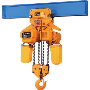 Quality Portable Electric Chain Hoist 1 Ton With Remote Control With Durable Body for sale