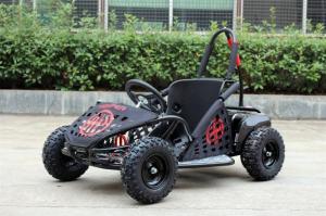 Quality 35km/H Two Person Go Kart Buggy , 1000w Kids Off Road Go Kart EPA Approved for sale