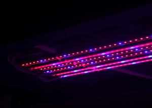 Quality Waterproof Led Grow Bar , Led Grow Lamps Integrated Structure Red And Blue Spectrum for sale