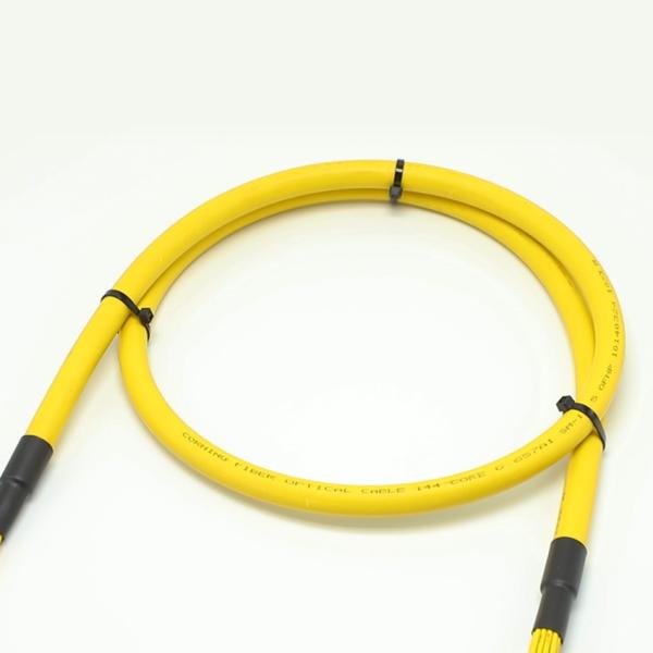 100G 200G MPO Male Female 8 12 16 24 Fiber to MPO Female Male Fiber Optic Patch Cord for High-density Wiring in Small Spaces