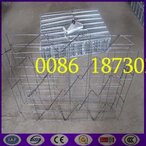 China Best  New type  3D Welded Mesh Panel with Expanded Rib Lath
